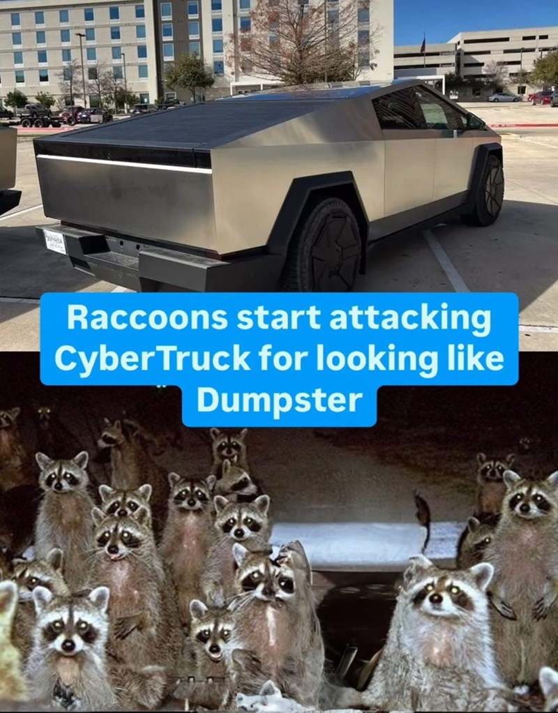 SPARSA Raccoons start attacking CyberTruck for looking like Dumpster