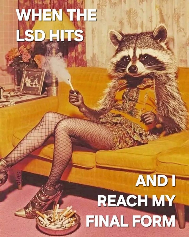 WHEN THE LSD HITS AND I REACH MY FINAL FORM