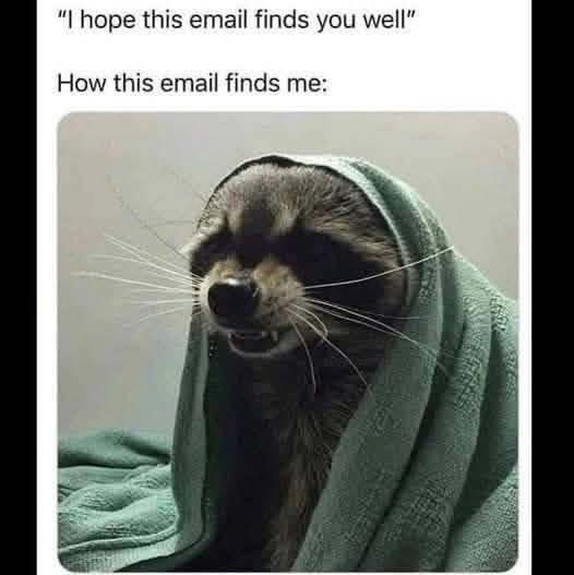 "I hope this email finds you well" How this email finds me: