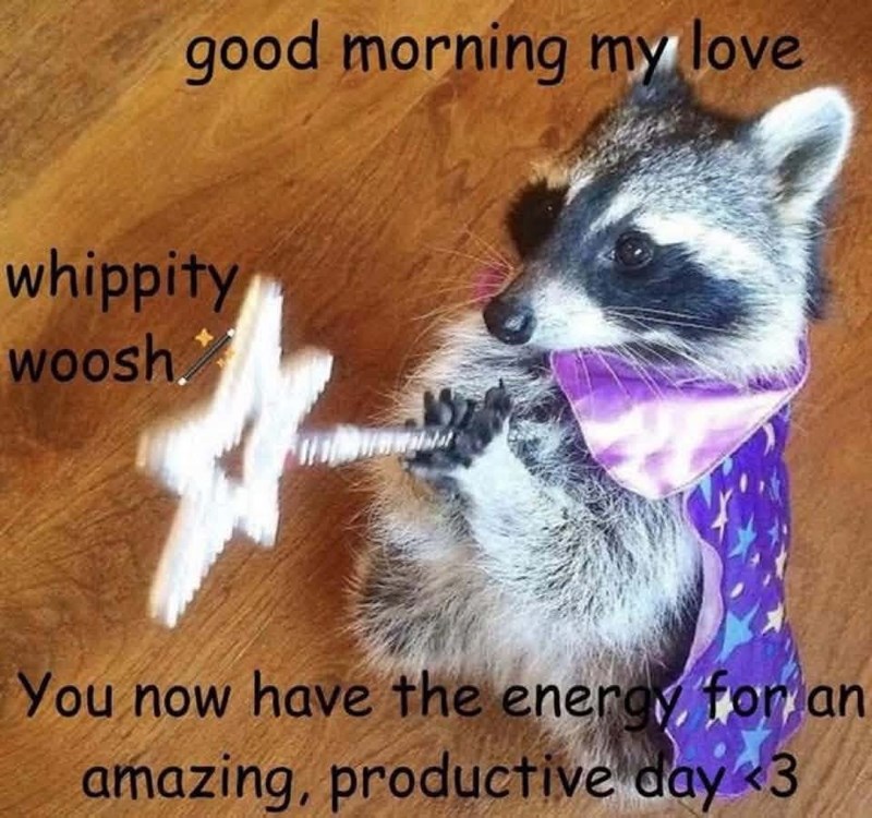 good morning my love whippity woosh. You now have the energy, for an amazing, productive day 3