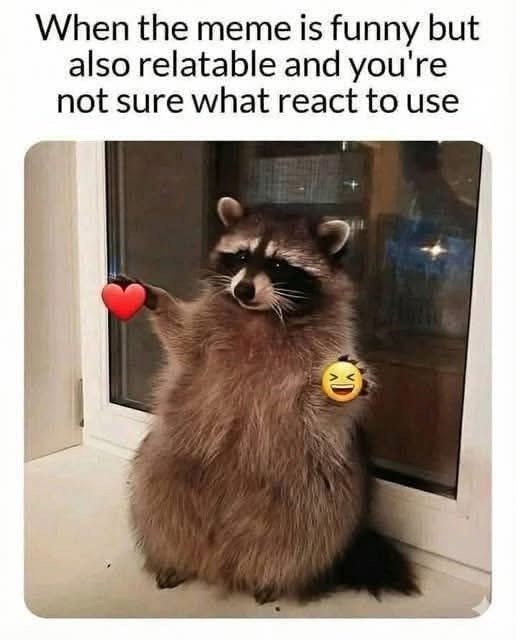 When the meme is funny but also relatable and you're not sure what react to use XD