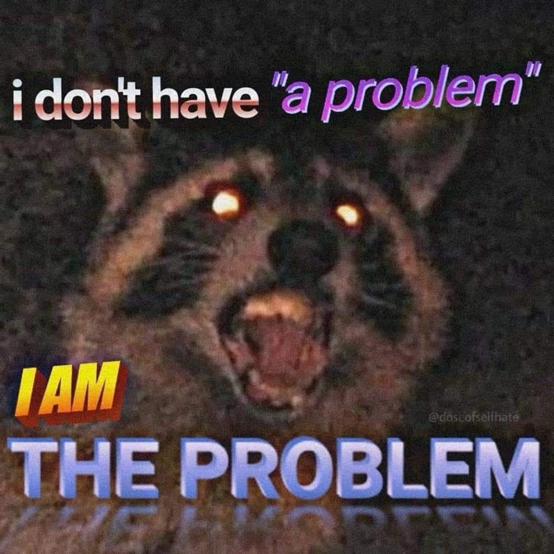 i don't have "a problem" IAM @doseofselfhate THE PROBLEM