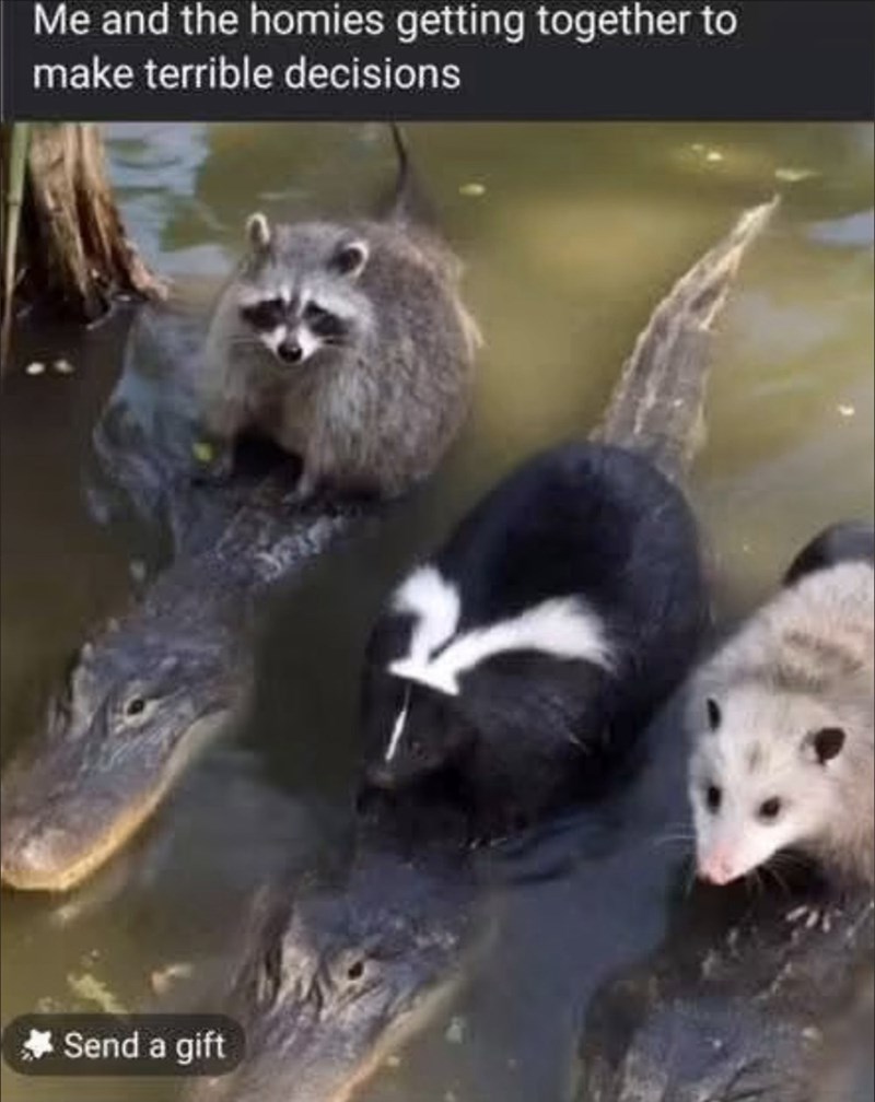 Me and the homies getting together to make terrible decisions Send a gift