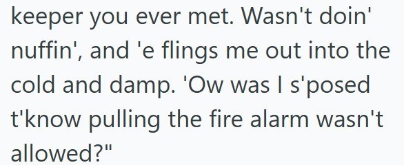keeper you ever met. Wasn't doin' nuffin', and 'e flings me out into the cold and damp. 'Ow was I s'posed t'know pulling the fire alarm wasn't allowed?"