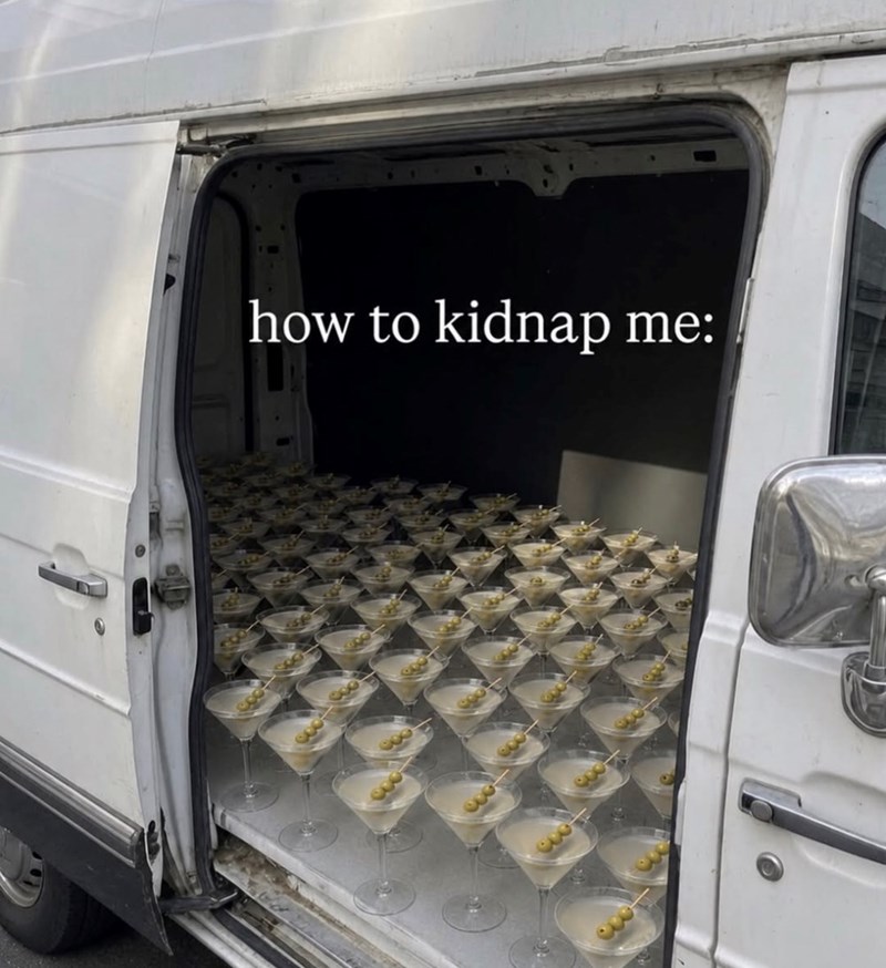 how to kidnap me: