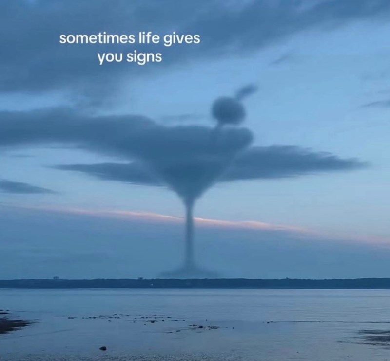 sometimes life gives you signs