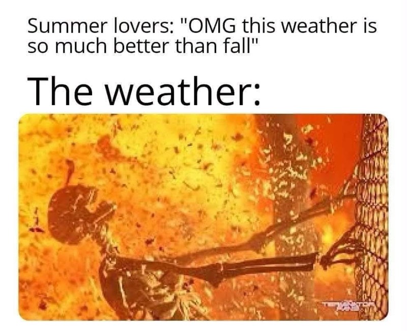 Summer lovers: "OMG this weather is so much better than fall" The weather: