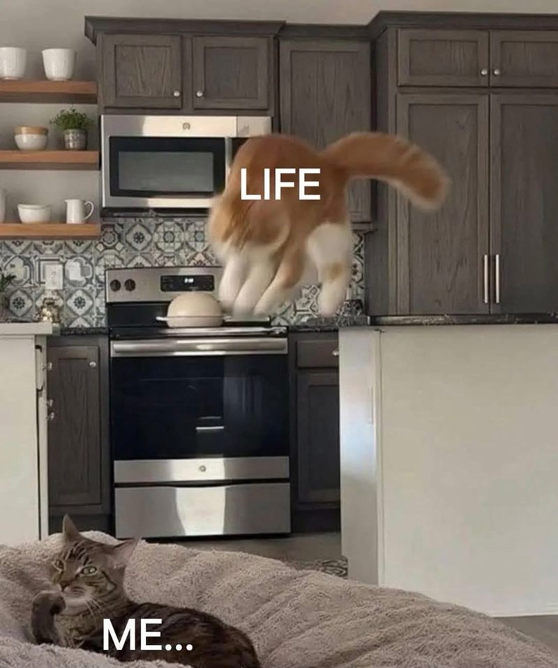 ME... LIFE
