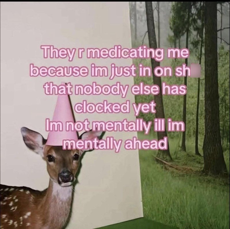 They r medicating me because im just in on sh that nobody else has clocked yet Im not mentally ill im mentally ahead