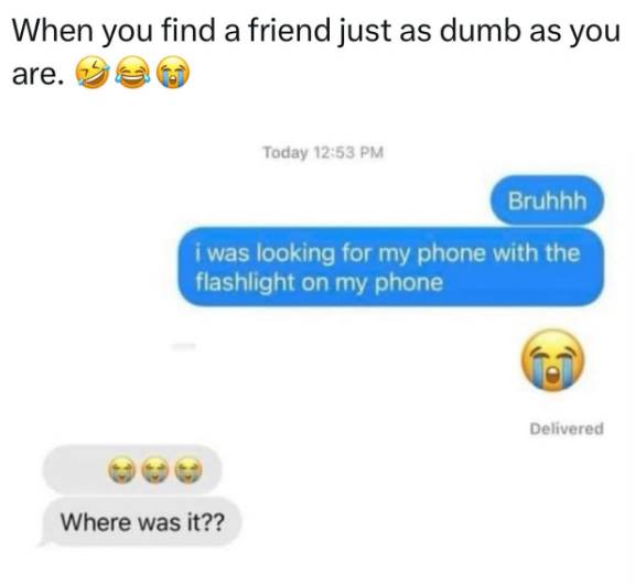 When you find a friend just as dumb as you are. 2 Today 12:53 PM Bruhhh i was looking for my phone with the flashlight on my phone Where was it?? Delivered