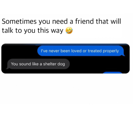Sometimes you need a friend that will talk to you this way I've never been loved or treated properly You sound like a shelter dog