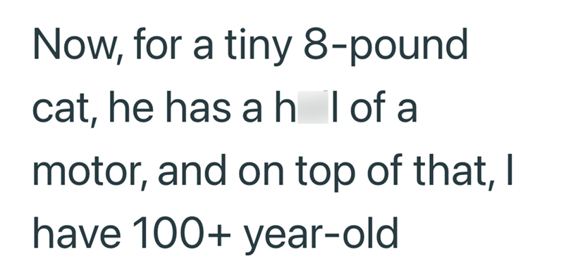 Now, for a tiny 8-pound cat, he has ahl of a motor, and on top of that, I have 100+ year-old