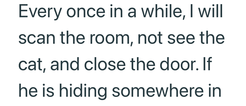 Every once in a while, I will scan the room, not see the cat, and close the door. If he is hiding somewhere in