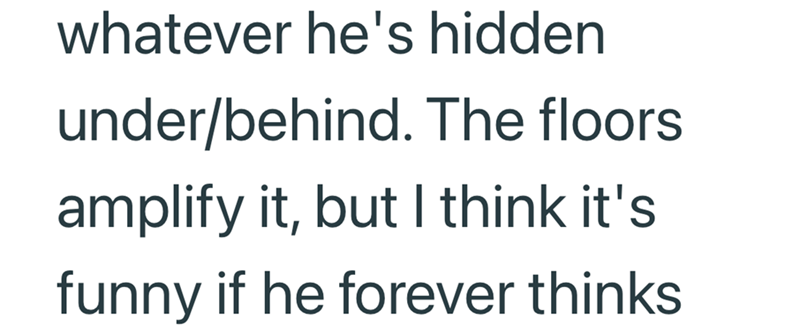 whatever he's hidden under/behind. The floors amplify it, but I think it's funny if he forever thinks
