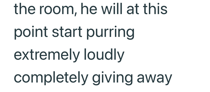 the room, he will at this point start purring extremely loudly completely giving away