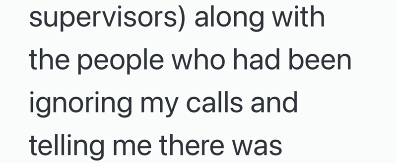 supervisors) along with the people who had been ignoring my calls and telling me there was
