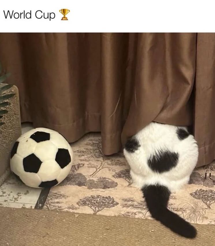 World Cup