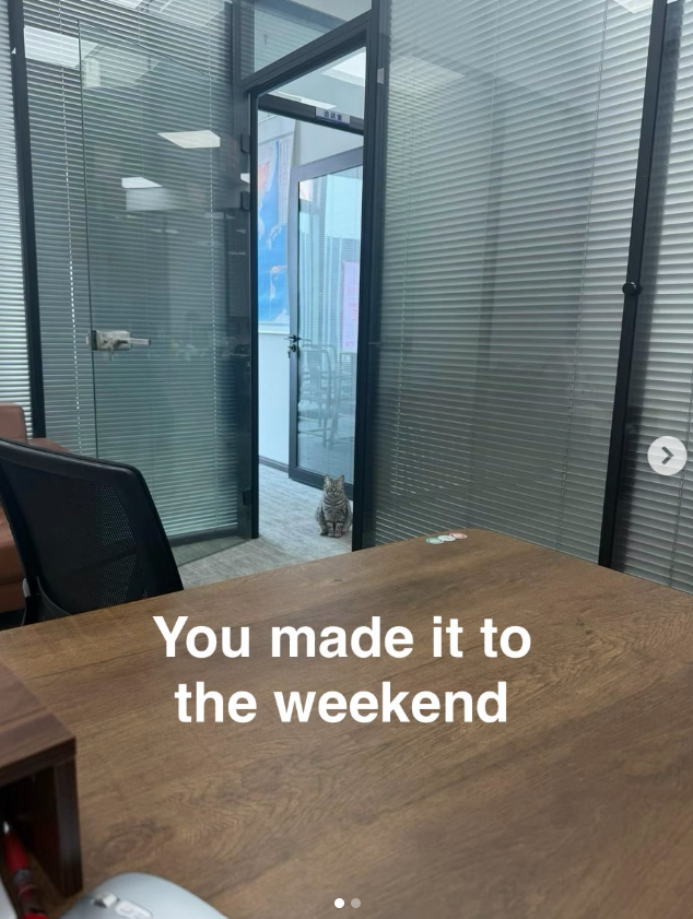 You made it to the weekend