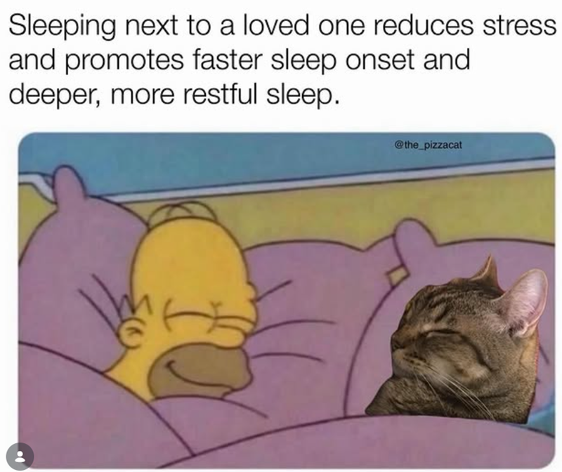 Sleeping next to a loved one reduces stress and promotes faster sleep onset and deeper, more restful sleep. @the_pizzacat