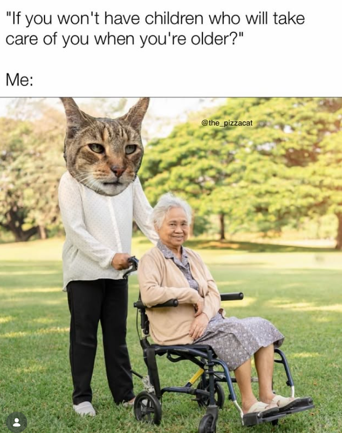 "If you won't have children who will take care of you when you're older?" Me: @the_pizzacat