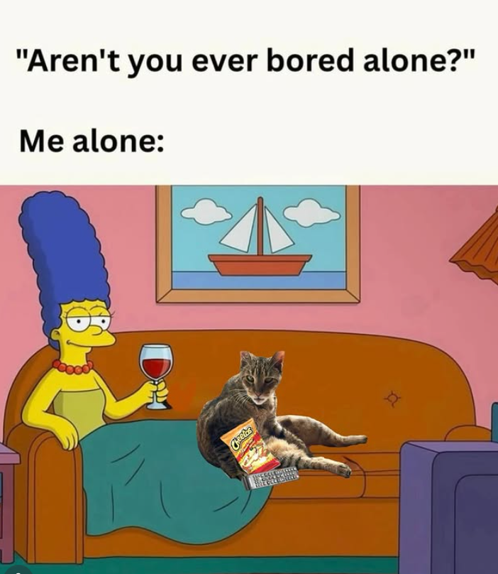 "Aren't you ever bored alone?" Me alone: Cheetas