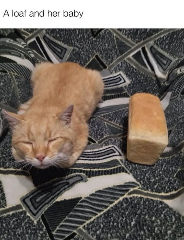 A loaf and her baby