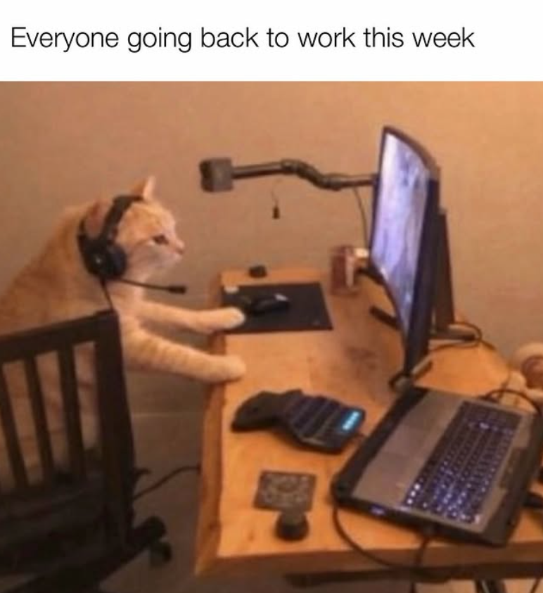 Everyone going back to work this week