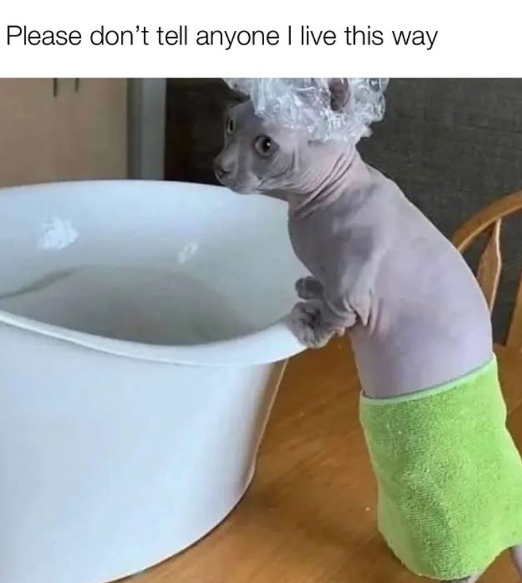 Please don't tell anyone I live this way