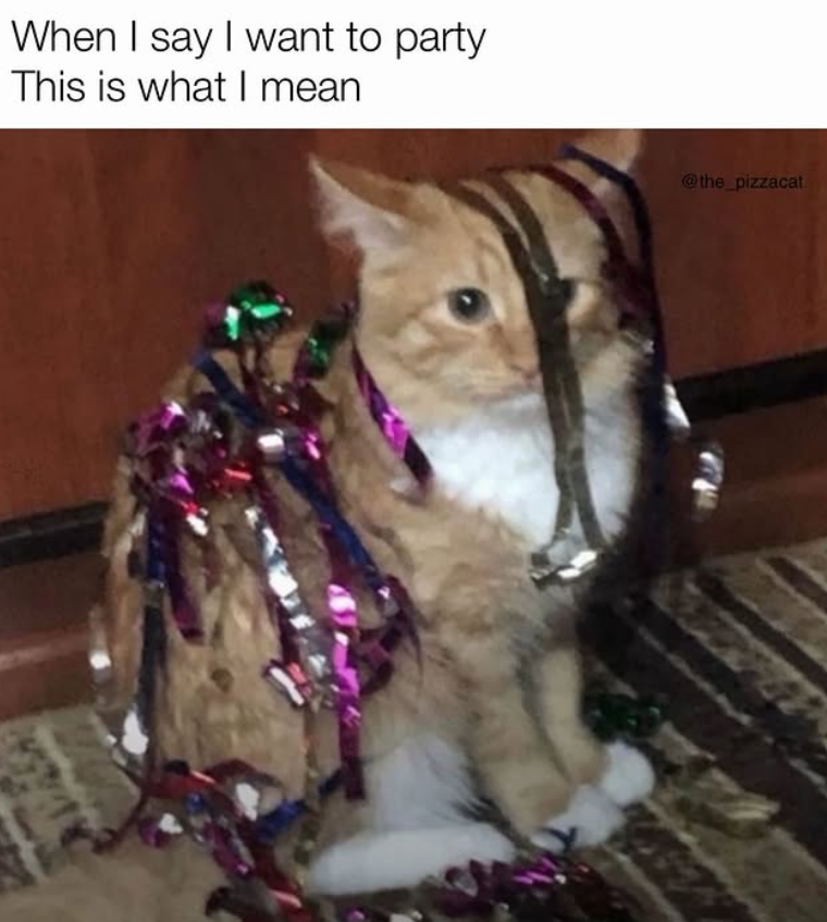 When I say I want to party This is what I mean @the_pizzacat