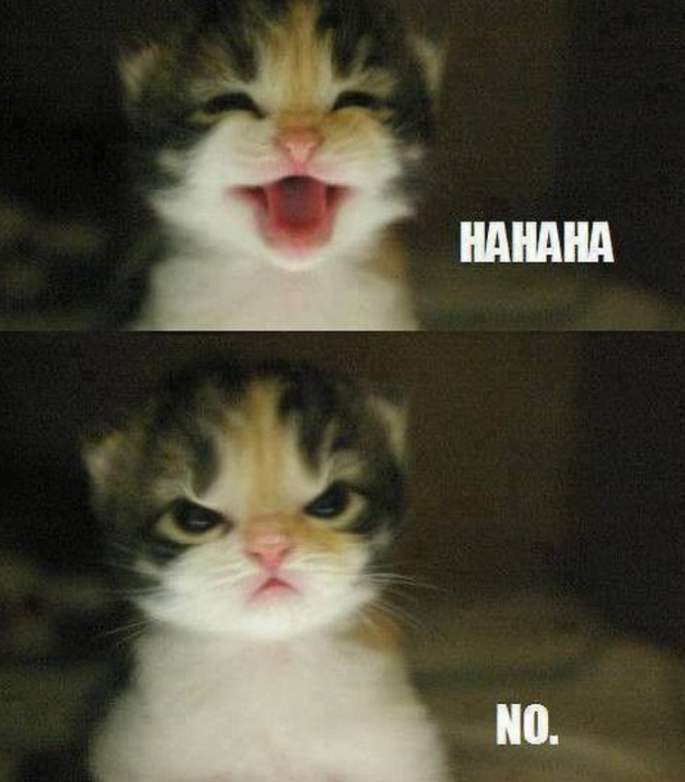 HAHAHA NO.