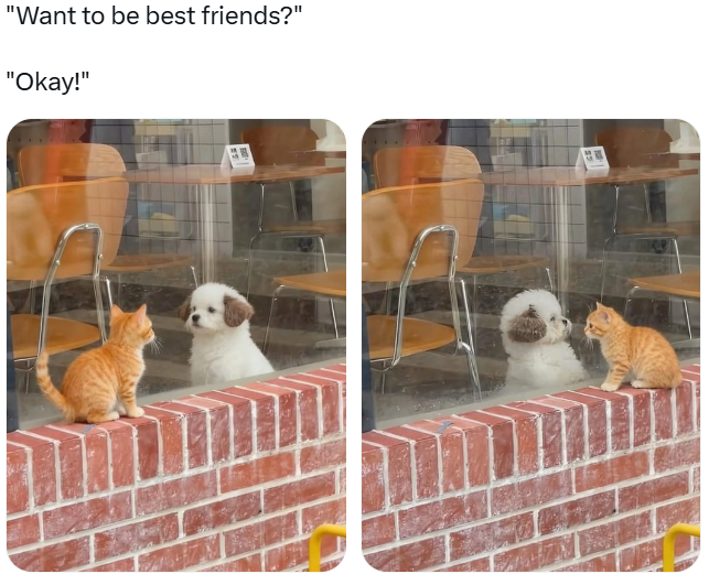 "Want to be best friends?" "Okay!"