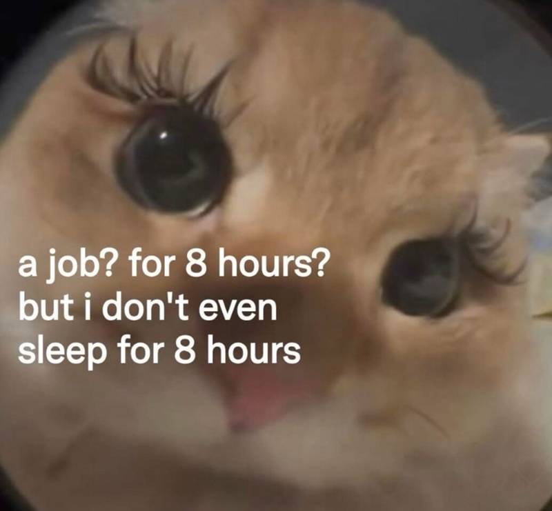 a job? for 8 hours? but i don't even sleep for 8 hours