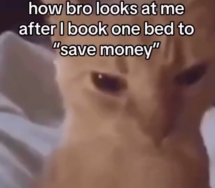how bro looks at me after I book one bed to "save money"