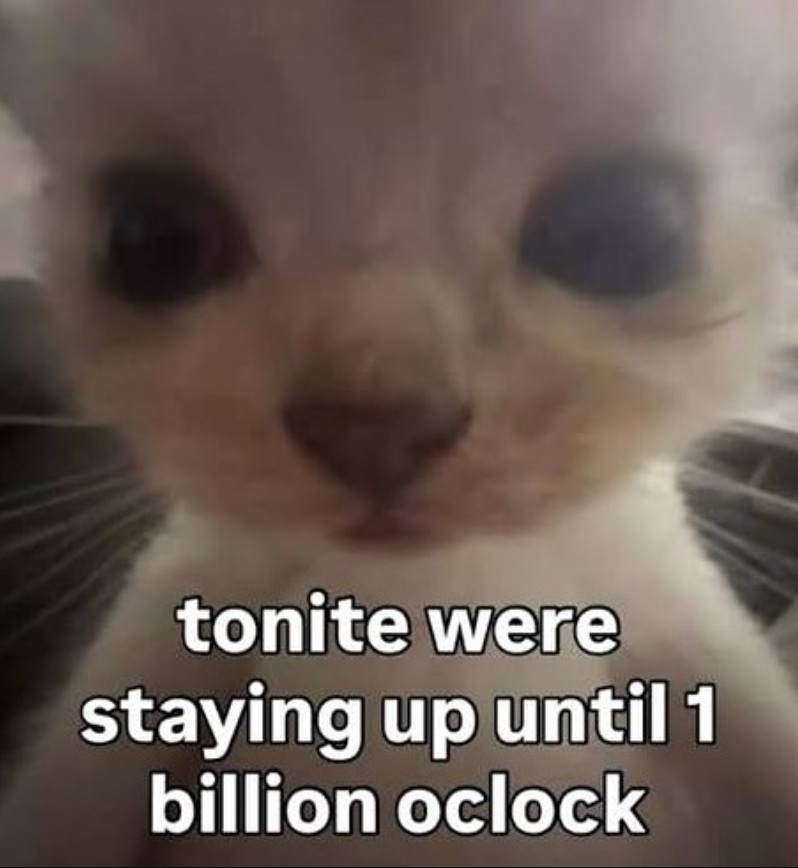 tonite were staying up until 1 billion oclock
