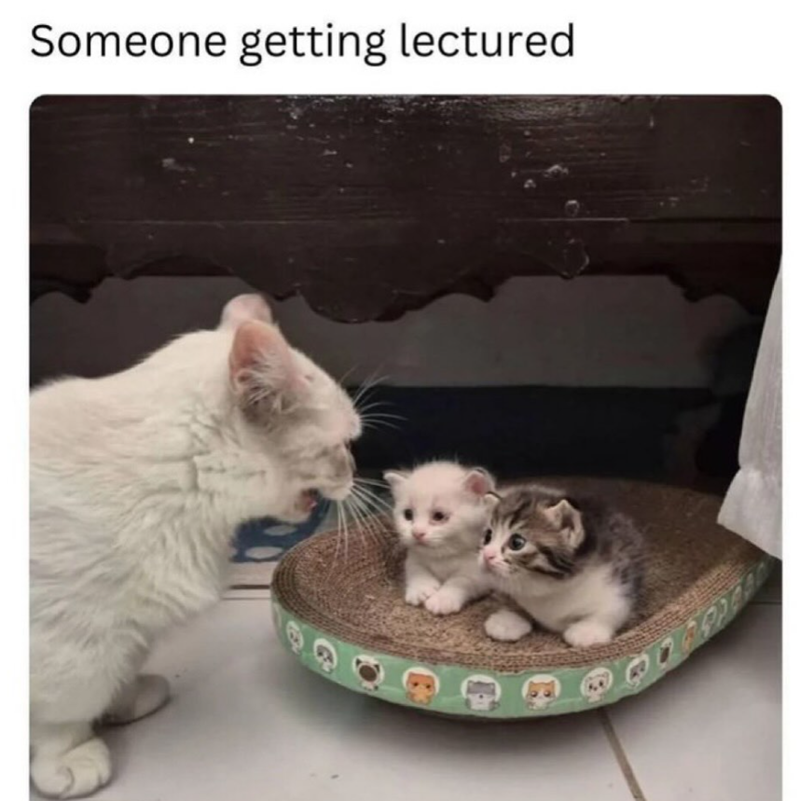 Someone getting lectured