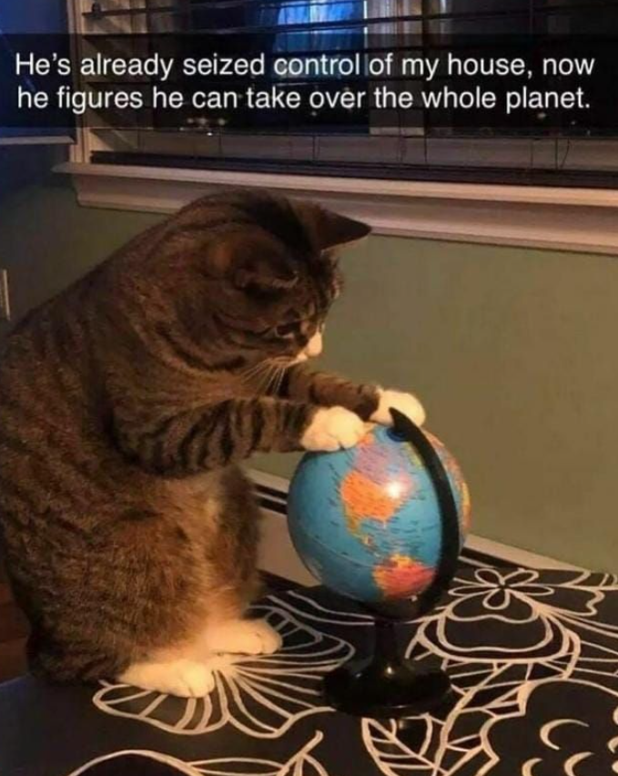He's already seized control of my house, now he figures he can take over the whole planet.