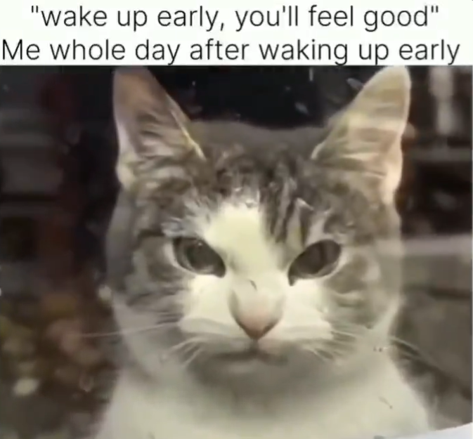 "wake up early, you'll feel good" Me whole day after waking up early