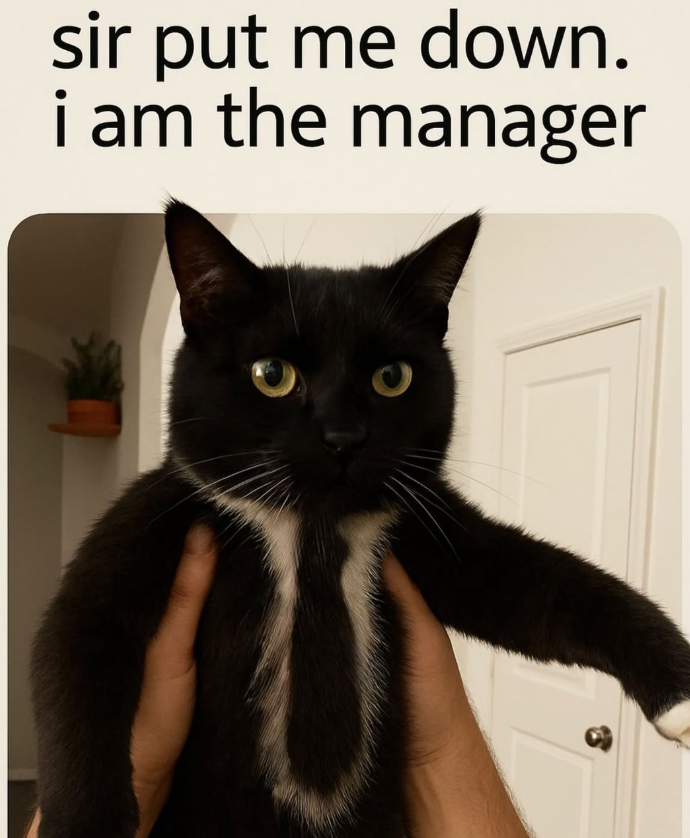 sir put me down. i am the manager