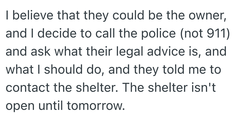 I believe that they could be the owner, and I decide to call the police (not 911) and ask what their legal advice is, and what I should do, and they told me to contact the shelter. The shelter isn't open until tomorrow.