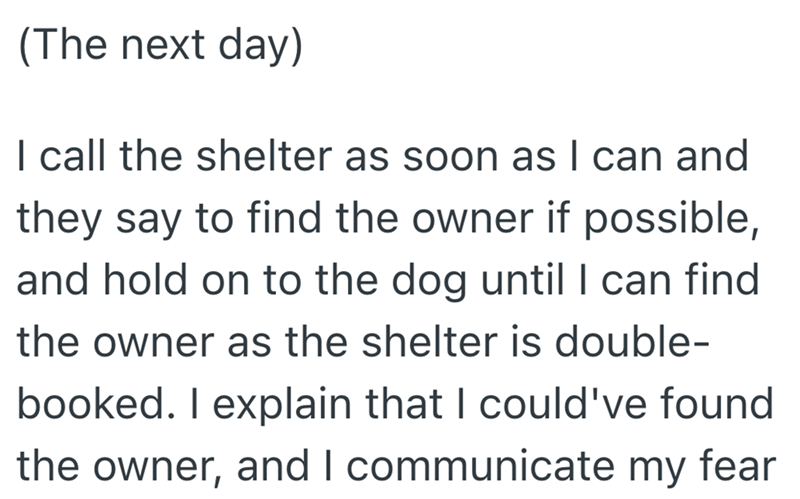 (The next day) I call the shelter as soon as I can and they say to find the owner if possible, and hold on to the dog until I can find the owner as the shelter is double- booked. I explain that I could've found the owner, and I communicate my fear