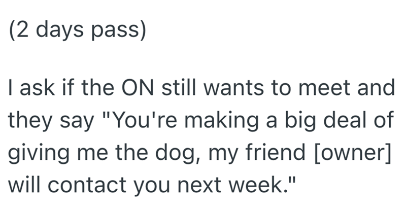 (2 days pass) I ask if the ON still wants to meet and they say "You're making a big deal of giving me the dog, my friend [owner] will contact you next week."