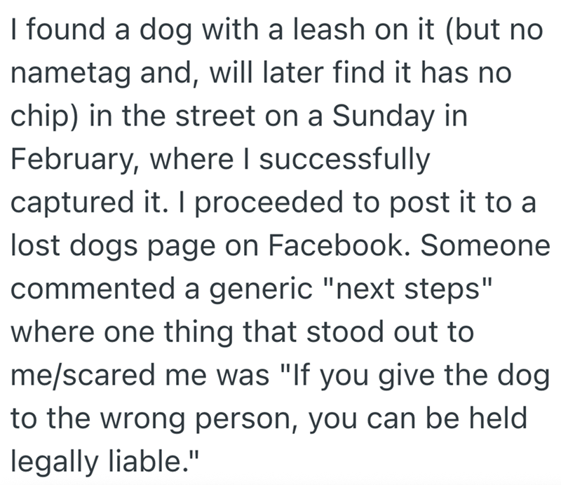 I found a dog with a leash on it (but no nametag and, will later find it has no chip) in the street on a Sunday in February, where I successfully captured it. I proceeded to post it to a lost dogs page on Facebook. Someone commented a generic "next steps" where one thing that stood out to me/scared me was "If you give the dog to the wrong person, you can be held legally liable."