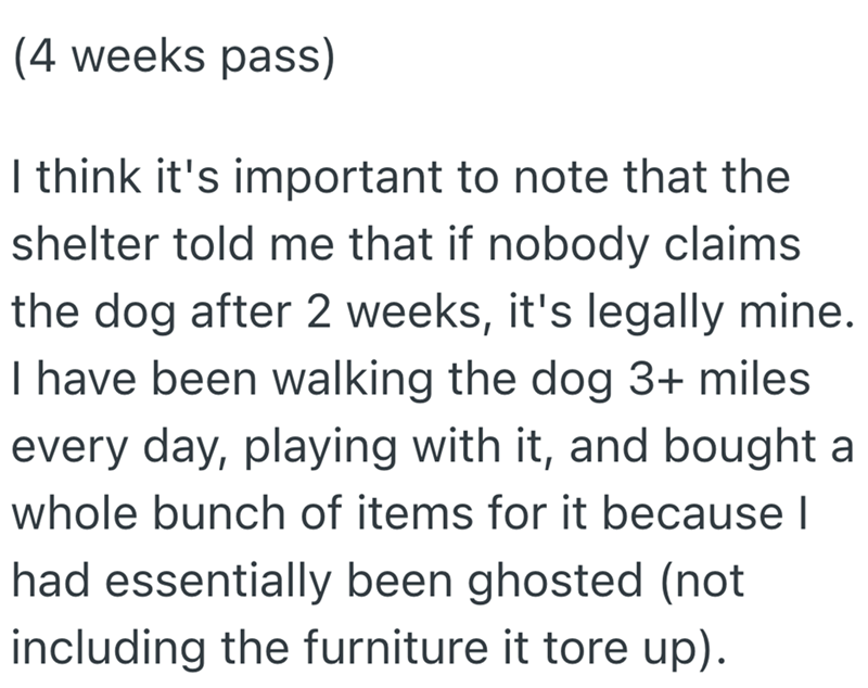 (4 weeks pass) I think it's important to note that the shelter told me that if nobody claims the dog after 2 weeks, it's legally mine. I have been walking the dog 3+ miles every day, playing with it, and bought a whole bunch of items for it because I had essentially been ghosted (not including the furniture it tore up).