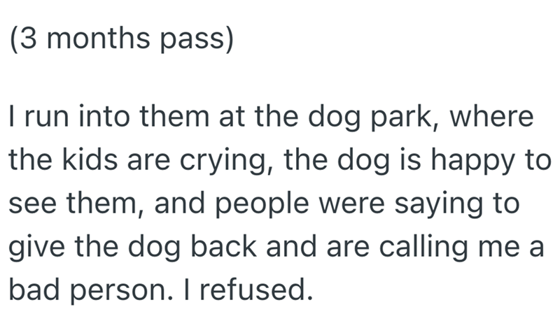 (3 months pass) I run into them at the dog park, where the kids are crying, the dog is happy to see them, and people were saying to give the dog back and are calling me a bad person. I refused.
