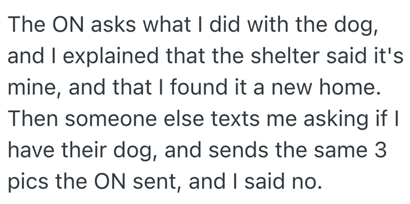 The ON asks what I did with the dog, and I explained that the shelter said it's mine, and that I found it a new home. Then someone else texts me asking if I have their dog, and sends the same 3 pics the ON sent, and I said no.