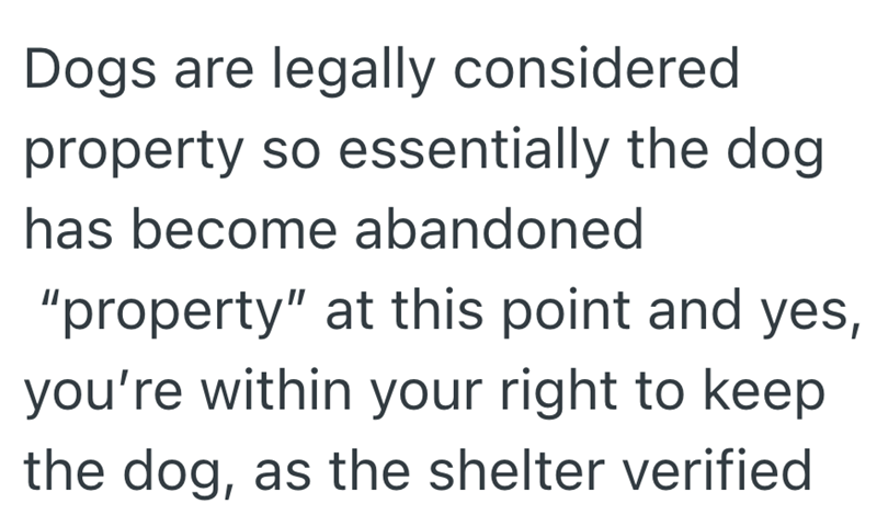 Dogs are legally considered property so essentially the dog has become abandoned "property" at this point and yes, you're within your right to keep the dog, as the shelter verified