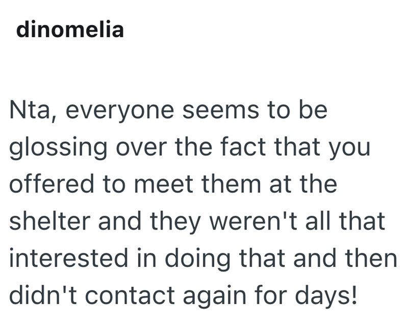 dinomelia Nta, everyone seems to be glossing over the fact that you offered to meet them at the shelter and they weren't all that interested in doing that and then didn't contact again for days!