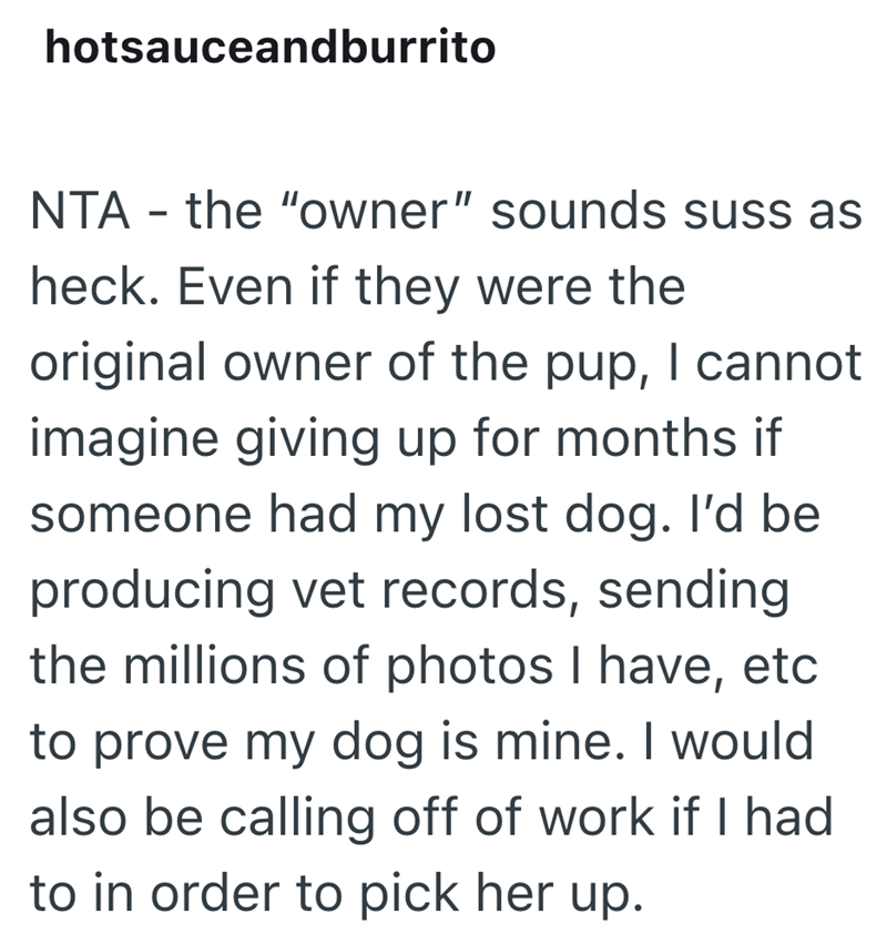 hotsauceandburrito NTA - the "owner" sounds suss as heck. Even if they were the original owner of the pup, I cannot imagine giving up for months if someone had my lost dog. I'd be producing vet records, sending the millions of photos I have, etc to prove my dog is mine. I would also be calling off of work if I had to in order to pick her up.