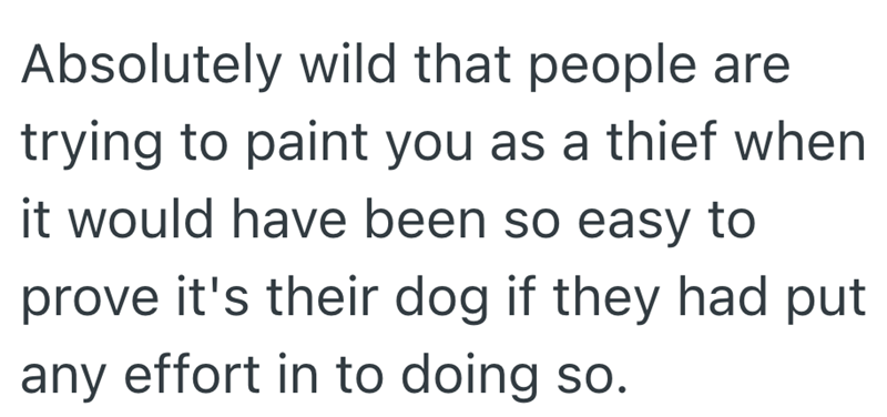 Absolutely wild that people are trying to paint you as a thief when it would have been so easy to prove it's their dog if they had put any effort in to doing so.