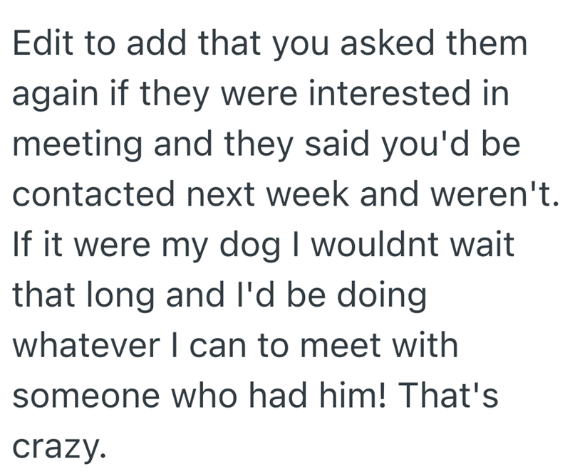Edit to add that you asked them again if they were interested in meeting and they said you'd be contacted next week and weren't. If it were my dog I wouldnt wait that long and I'd be doing whatever I can to meet with someone who had him! That's crazy.